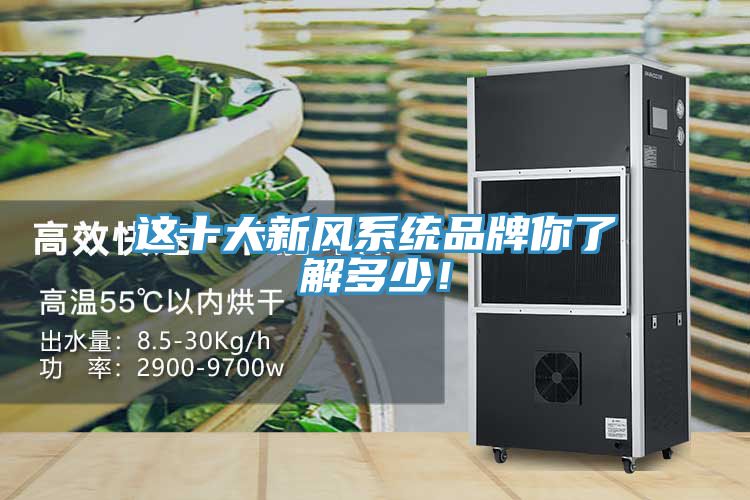 這十大新風(fēng)系統品牌你了解多少！