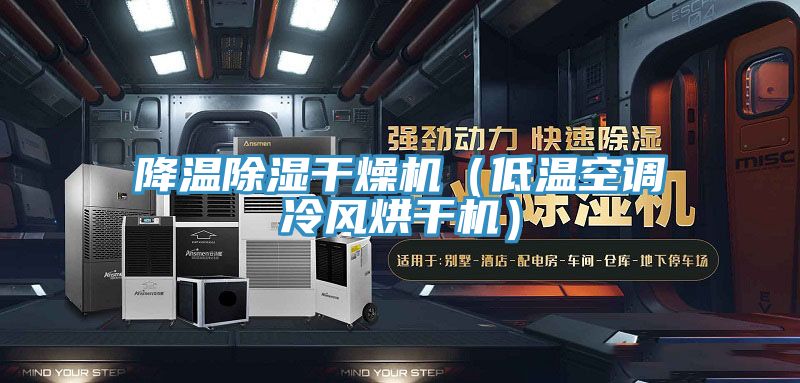 降溫除濕干燥機（低溫空調冷風(fēng)烘干機）
