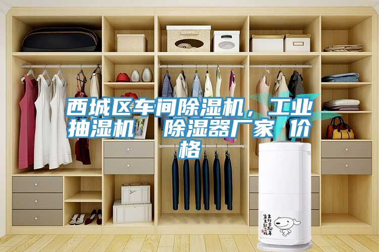 西城區車(chē)間除濕機，工業(yè)抽濕機  除濕器廠(chǎng)家 價(jià)格