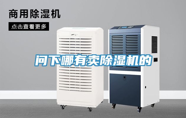 問(wèn)下哪有賣(mài)除濕機的