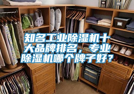 知名工業(yè)除濕機十大品牌排名，專(zhuān)業(yè)除濕機哪個(gè)牌子好？