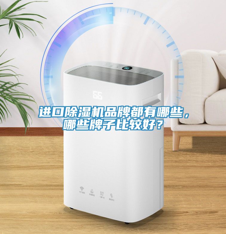 進(jìn)口除濕機品牌都有哪些，哪些牌子比較好？