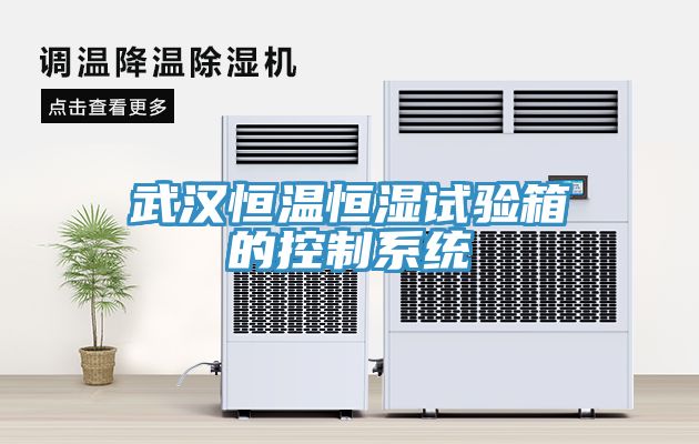 武漢恒溫恒濕試驗箱的控制系統
