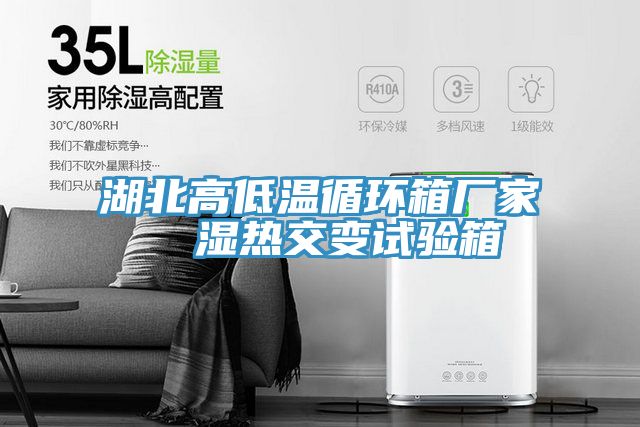 湖北高低溫循環(huán)箱廠(chǎng)家  濕熱交變試驗箱