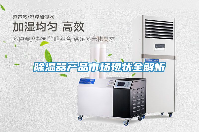 除濕器產(chǎn)品市場(chǎng)現狀全解析