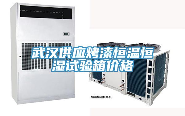 武漢供應烤漆恒溫恒濕試驗箱價(jià)格