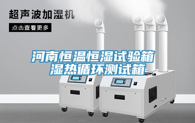 河南恒溫恒濕試驗箱 濕熱循環(huán)測試箱