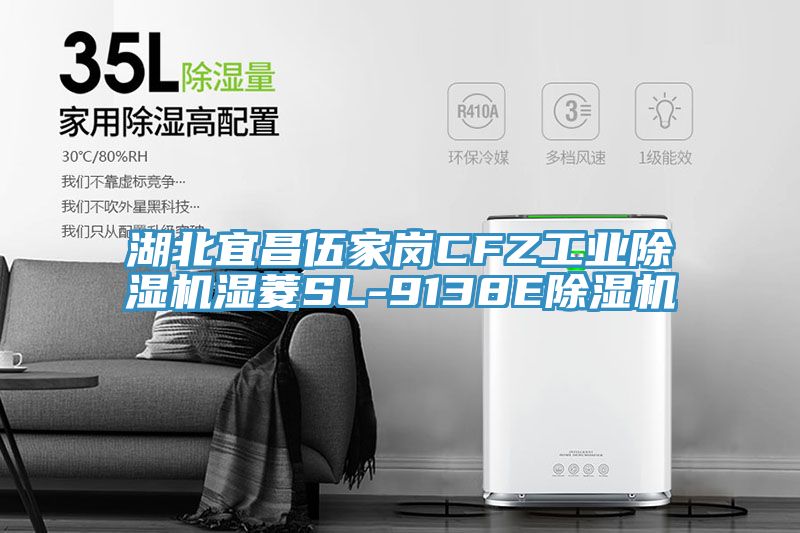 湖北宜昌伍家崗CFZ工業(yè)除濕機濕菱SL-9138E除濕機
