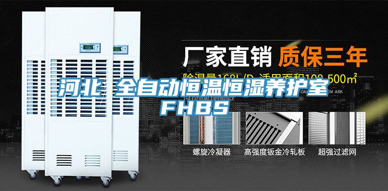 河北 全自動(dòng)恒溫恒濕養護室FHBS