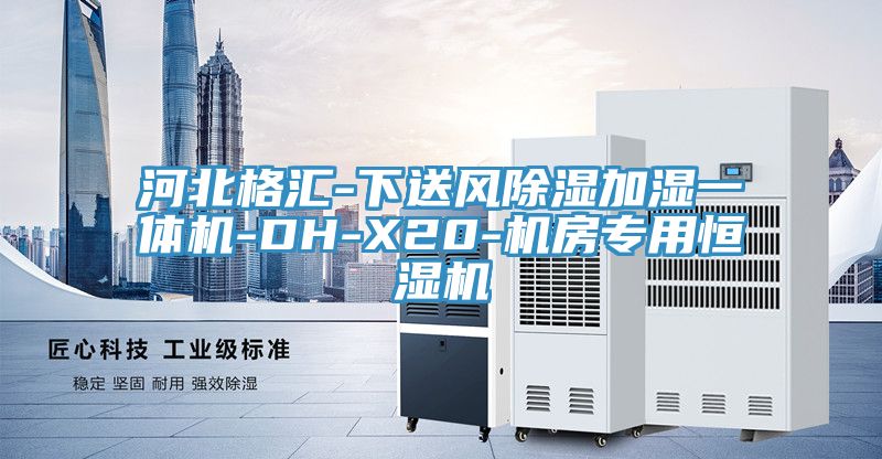 河北格匯-下送風(fēng)除濕加濕一體機-DH-X20-機房專(zhuān)用恒濕機
