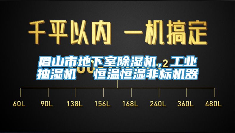 眉山市地下室除濕機，工業(yè)抽濕機  恒溫恒濕非標機器