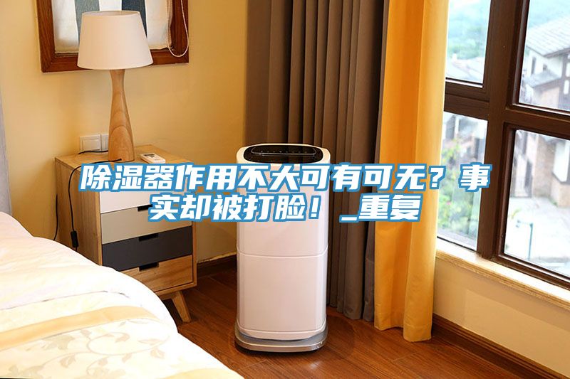 除濕器作用不大可有可無(wú)？事實(shí)卻被打臉！_重復