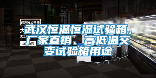 武漢恒溫恒濕試驗箱，廠(chǎng)家直銷(xiāo)、高低溫交變試驗箱用途