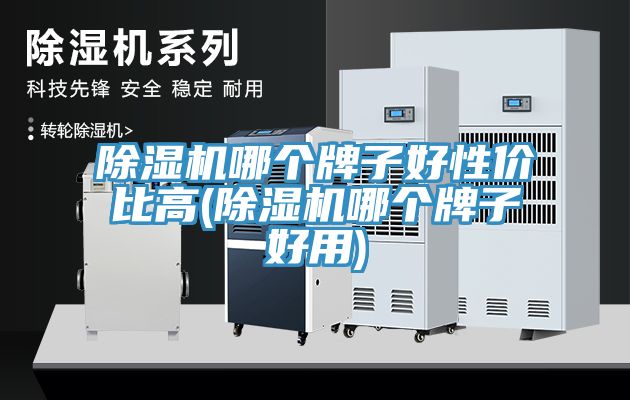 除濕機哪個(gè)牌子好性?xún)r(jià)比高(除濕機哪個(gè)牌子好用)