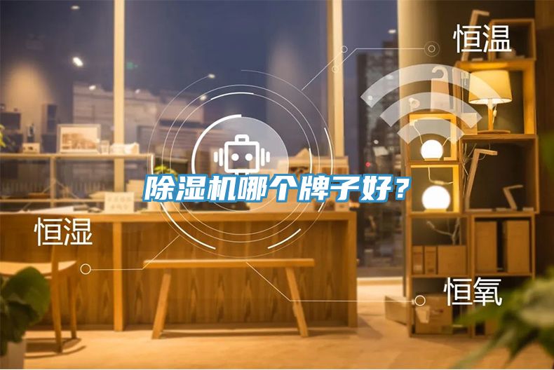 除濕機哪個(gè)牌子好？