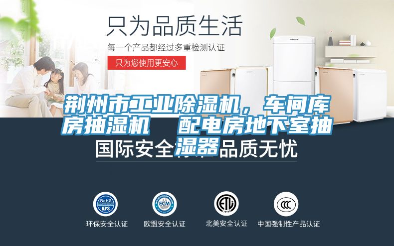 荊州市工業(yè)除濕機，車(chē)間庫房抽濕機  配電房地下室抽濕器