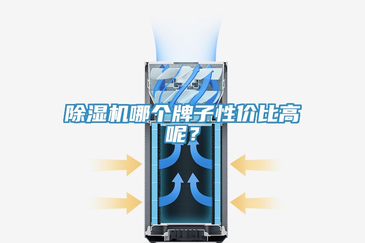 除濕機哪個(gè)牌子性?xún)r(jià)比高呢？