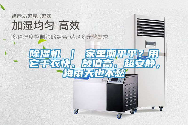 除濕機 ｜ 家里潮乎乎？用它干衣快、顏值高、超安靜，梅雨天也不愁