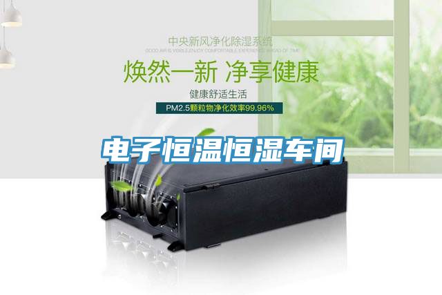 電子恒溫恒濕車(chē)間