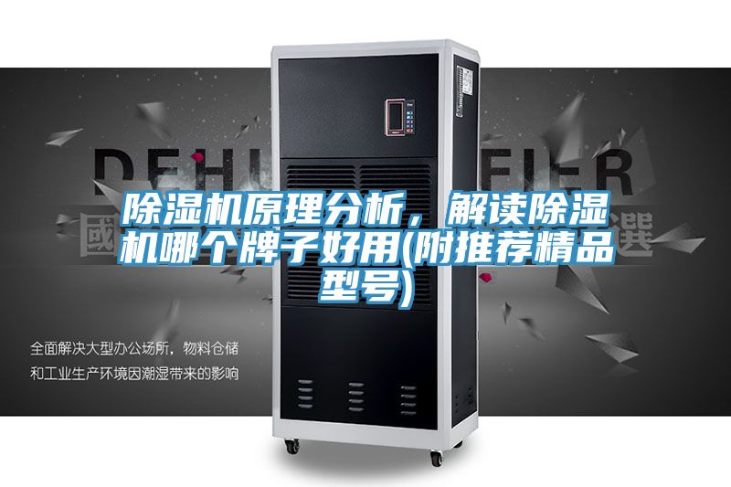 除濕機原理分析，解讀除濕機哪個(gè)牌子好用(附推薦精品型號)
