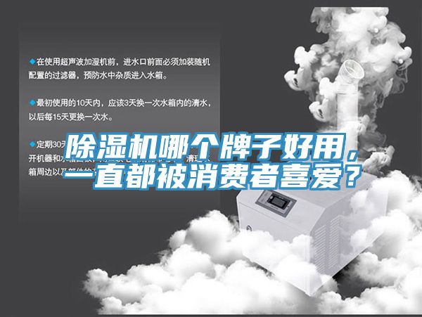 除濕機哪個(gè)牌子好用，一直都被消費者喜愛(ài)？