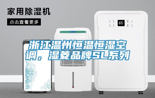 浙江溫州恒溫恒濕空調，濕菱品牌SL系列