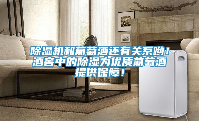 除濕機和葡萄酒還有關(guān)系喲！酒窖中的除濕為優(yōu)質(zhì)葡萄酒提供保障！