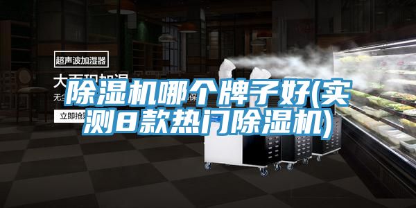 除濕機哪個(gè)牌子好(實(shí)測8款熱門(mén)除濕機)