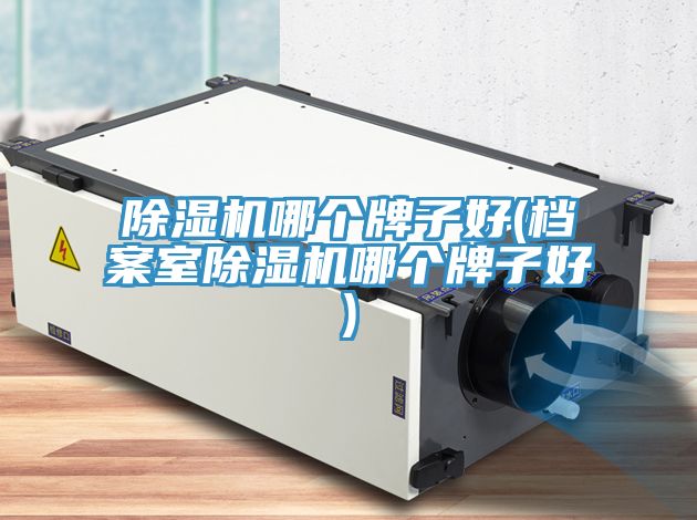 除濕機哪個(gè)牌子好(檔案室除濕機哪個(gè)牌子好)