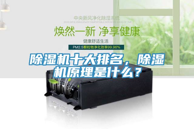 除濕機十大排名，除濕機原理是什么？