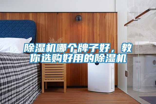 除濕機哪個(gè)牌子好，教你選購好用的除濕機
