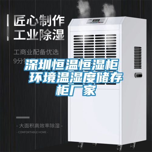 深圳恒溫恒濕柜 環(huán)境溫濕度儲存柜廠(chǎng)家