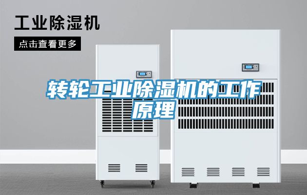 轉輪工業(yè)除濕機的工作原理