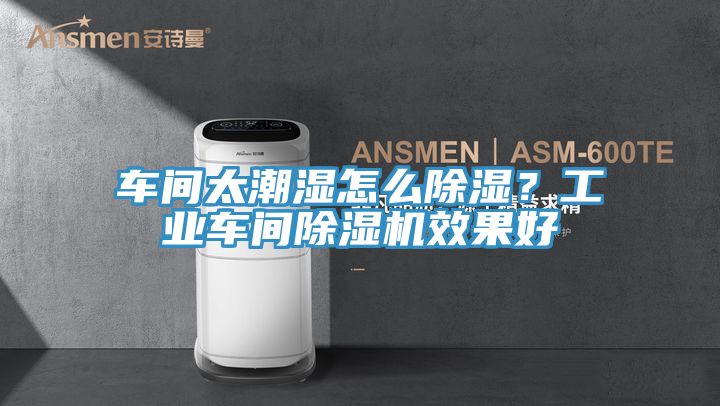 車(chē)間太潮濕怎么除濕？工業(yè)車(chē)間除濕機效果好