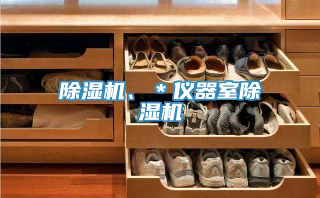 除濕機、＊儀器室除濕機