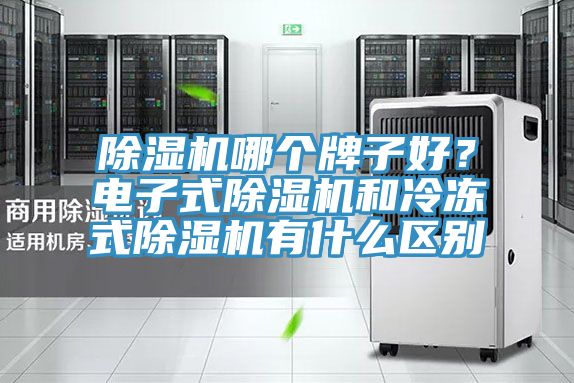 除濕機哪個(gè)牌子好？電子式除濕機和冷凍式除濕機有什么區別