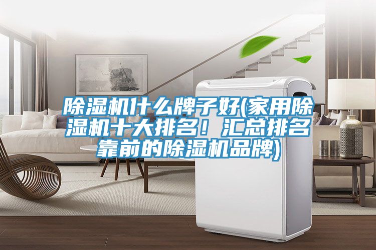 除濕機什么牌子好(家用除濕機十大排名！匯總排名靠前的除濕機品牌)