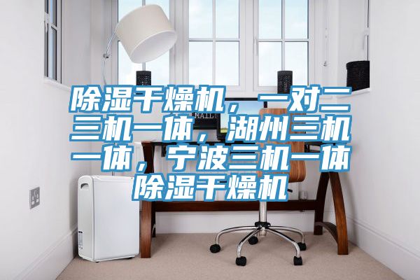 除濕干燥機，一對二三機一體，湖州三機一體，寧波三機一體除濕干燥機