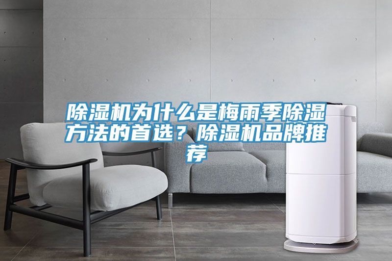 除濕機為什么是梅雨季除濕方法的首選？除濕機品牌推薦