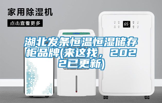 湖北發(fā)條恒溫恒濕儲存柜品牌(來(lái)這找，2022已更新)