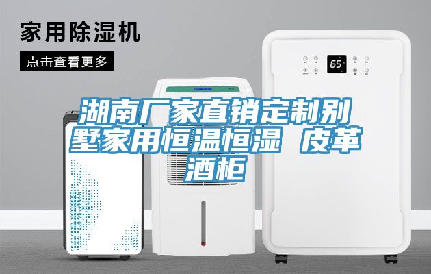 湖南廠(chǎng)家直銷(xiāo)定制別墅家用恒溫恒濕 皮革酒柜