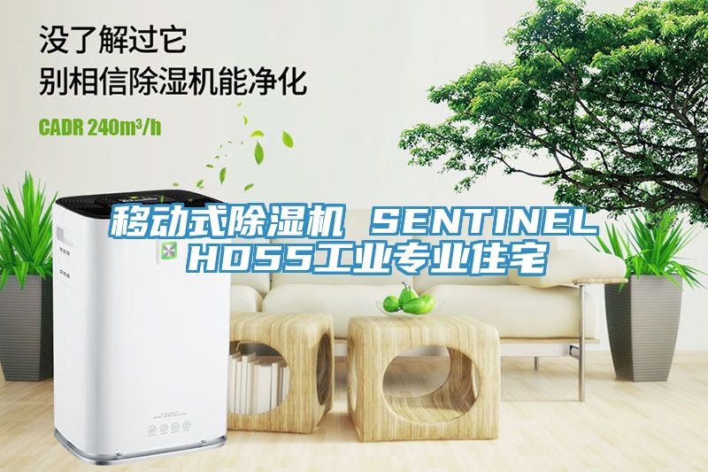 移動(dòng)式除濕機 SENTINEL HD55工業(yè)專(zhuān)業(yè)住宅