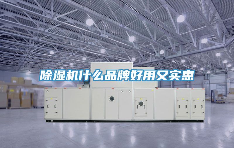 除濕機什么品牌好用又實(shí)惠