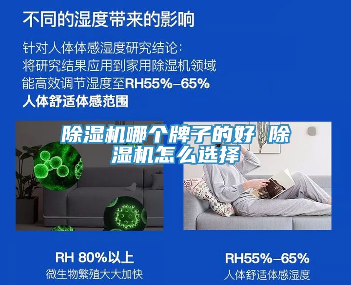 除濕機哪個(gè)牌子的好 除濕機怎么選擇