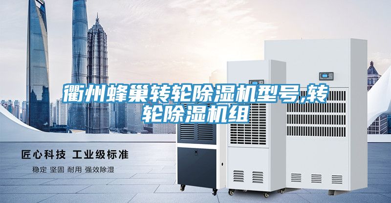 衢州蜂巢轉輪除濕機型號,轉輪除濕機組