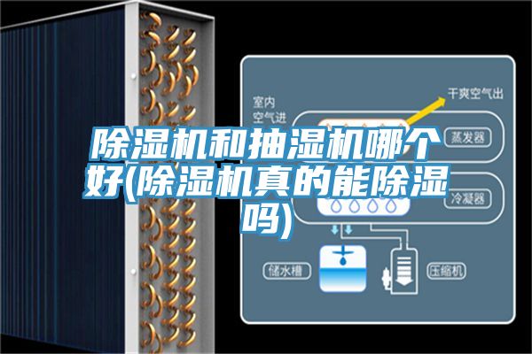 除濕機和抽濕機哪個(gè)好(除濕機真的能除濕嗎)