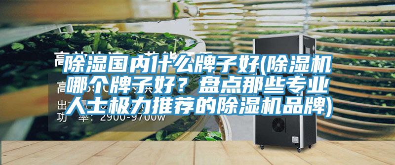 除濕國內什么牌子好(除濕機哪個(gè)牌子好？盤(pán)點(diǎn)那些專(zhuān)業(yè)人士極力推薦的除濕機品牌)