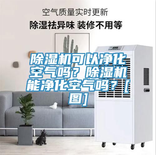 除濕機可以?xún)艋諝鈫?？除濕機能凈化空氣嗎？[圖]