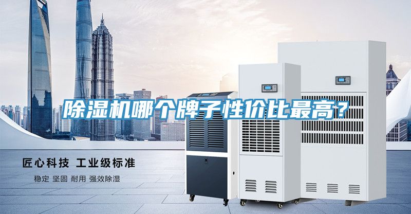 除濕機哪個(gè)牌子性?xún)r(jià)比最高？