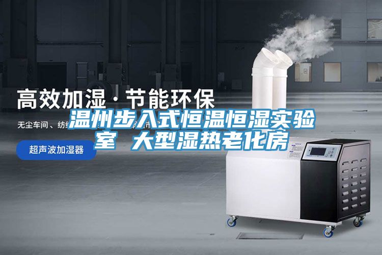 溫州步入式恒溫恒濕實(shí)驗室 大型濕熱老化房